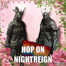 a picture of two knight holding a rainbow flag with the caption hop on nightreign