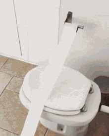 Funny Animals Dogs GIF - Funny Animals Dogs Toilet Paper GIFs