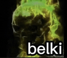 a skull is surrounded by flames and the word belki is on the bottom .