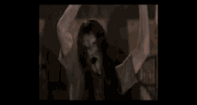 Scarie Scared GIF - Scarie Scared Horror Movie GIFs