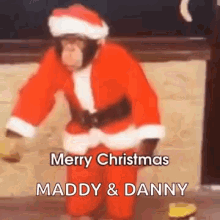 Monkey Merry Christmas GIF - Monkey Merry Christmas Greetings GIFs