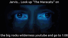 The Maracatu Jarvis GIF - The Maracatu Jarvis Big Rocks Wilderness GIFs