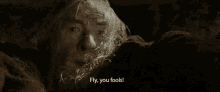 Fly, You Fools! - The Lord Of The Rings GIF - Fly You Fools Gandalf Lord Of The Rings GIFs