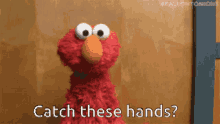 Catch These Hands Elmo GIF - Catch These Hands Elmo Shrug GIFs