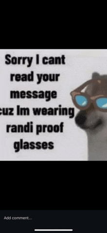 a picture of a dog wearing sunglasses with a caption that says sorry i cant read your message