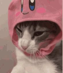 Piper Hotsinjin GIF - Piper Hotsinjin Cat GIFs