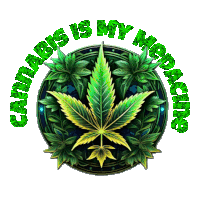 a picture of a marijuana leaf with the words cannabis is my medicine around it
