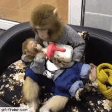 Monkeys Feeding GIF - Monkeys Feeding Bottle GIFs