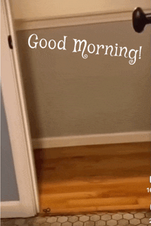 Good Morning Dog GIF - Good Morning Dog Surprise GIFs