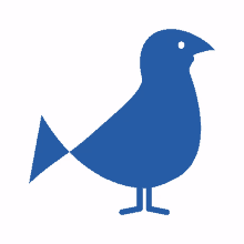 bluebird company