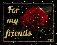 Friends Friendship GIF - Friends Friendship Red Rose GIFs