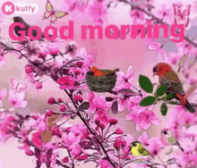 Good Morning Have A Nice Day GIF