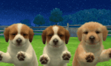 Nintendogs Puppy GIF - Nintendogs Puppy Pawing GIFs