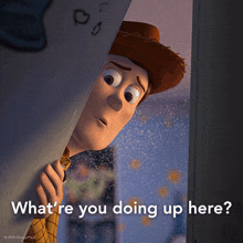 a picture of woody from toy story with the caption what 're you doing up here ?