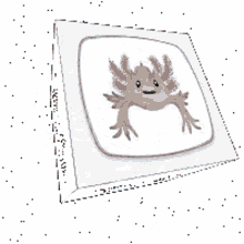 axolotl axolotls cube cube from unitys cube from unity