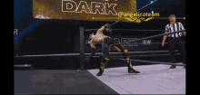 Angelico Th2 GIF