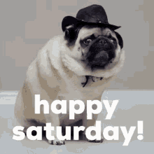 Pugg Saturday GIF - Pugg Pug Saturday GIFs