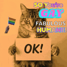 a cat holding up a sign that says ok
