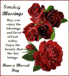 Sunday Blessings Have A Blessed Day GIF