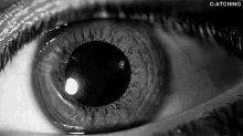 Dilating GIF - Eye Dilating Constricting GIFs