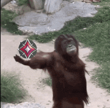 a monkey is holding a diamond in its right hand