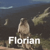 Florian Scream GIF