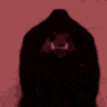 Dark Cat GIF - Dark Cat GIFs