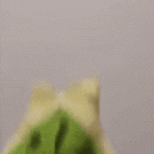 a person is holding a green pillow with a leaf on it .