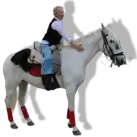 a woman sits on the back of a white horse with red leg wraps