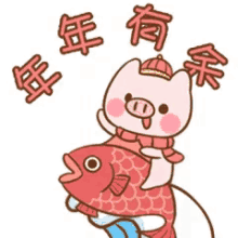 chinese pig