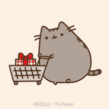Shopping Cat GIF - Shopping Cat Present GIFs