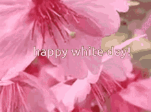 White Day GIF - White Day GIFs