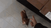 Hands On The Wall Under Arrest GIF - Hands On The Wall Under Arrest Dog GIFs