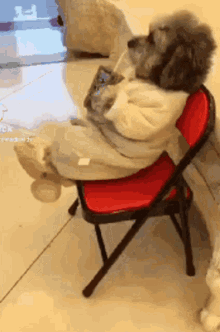 Dog Chair Dog GIF - Dog Chair Dog GIFs