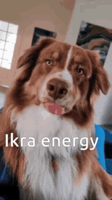 Ikra Energy Ikraa GIF - Ikra Energy Ikraa Ikwa GIFs