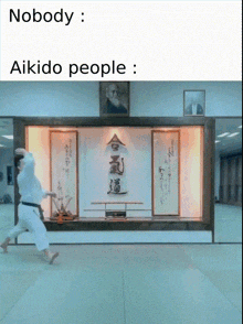 Aikido Meme GIF - Aikido Meme Fall GIFs