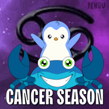 a penguin is sitting on top of a blue crab with the words cancer season written below it