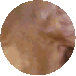 a pixelated image of a person 's face in a circle on a white background