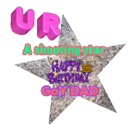 ur a shooting star happy birthday gay dad on a star