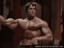 Arnold GIF - Bodybuilder Bodybuilding Muscles GIFs