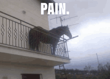 Pain Juan GIF - Pain Juan Horse GIFs