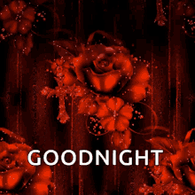Good Night Sparkles GIF