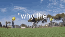 House Why The Brick GIF - House Why The Brick Dogs GIFs