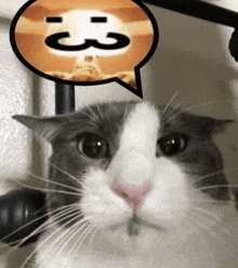 a cat with a speech bubble that says " t3 " on it