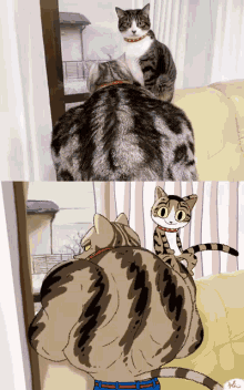 Neko Cat GIF - Neko Cat GIFs