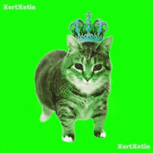 a cat wearing a crown on a green background