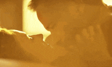 a close up of a man and woman kissing in a room with a yellow background .