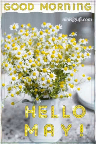 hello may images