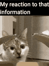 My Reaction To That Informatiom GIF - My Reaction To That Informatiom GIFs