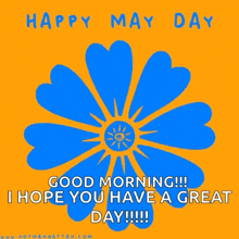 a blue flower on a yellow background with the words happy may day good morning i hope you have a great day